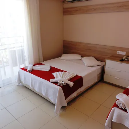 Altinersan Otel 3*