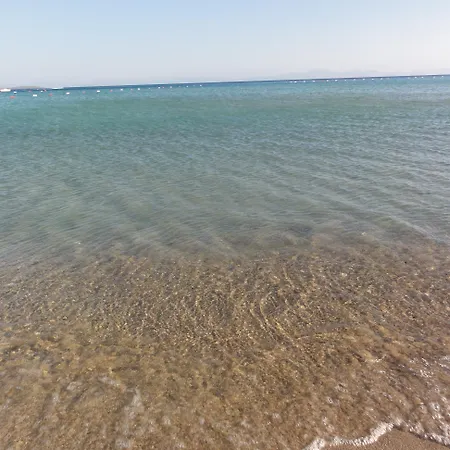 Altinersan Didim